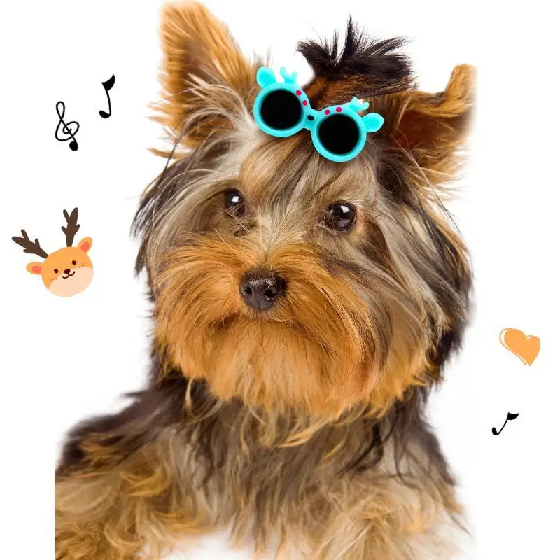 10Pcs Pet Sunglasses Hair Clip Cute Cartoon Animal Shape Mini Hair Barrett Pet Hair Accessories For Cat Dog Photo Decor Props
