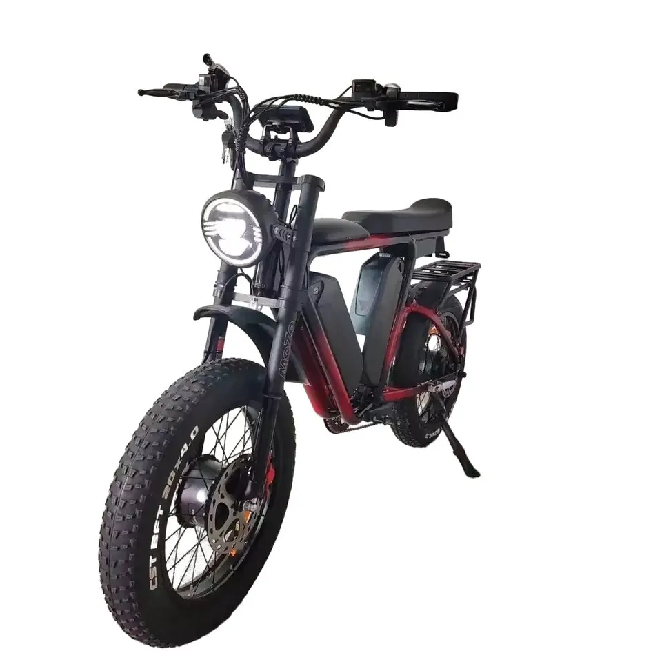 

20"X4.0 Wheel 52V Dual Batteries Electric Bicycle 22Ah*2 Dual Motors 1000W*2 Full Suspension Oil Brake Electric Fat Tire Bike