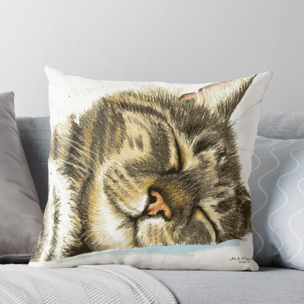 

Sleeping Tabby Cat Throw Pillow Luxury Living Room Decorative Cushions pillow pillowcase