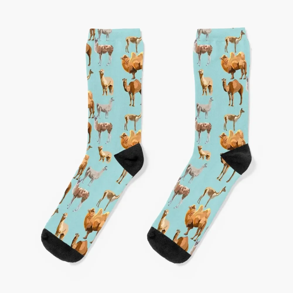 

Mixed Camelid Socks cartoon designer brand Socks For Girls Men's