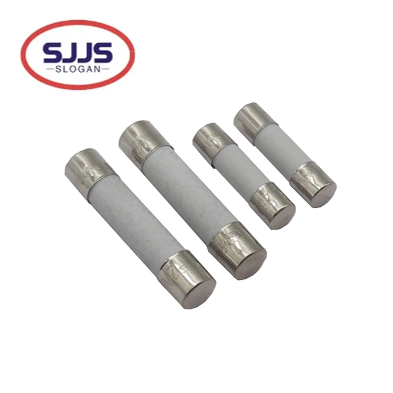 【30-10PCS】5X20MM 6X…