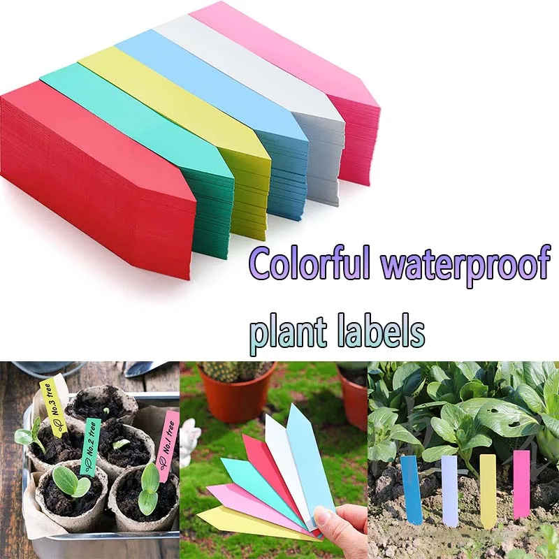 100 Pcs Gardening Labels Succulent Plant Insert Ground Labels Pot Plant Markers Seed Labels Plastic Waterproof  Flower Pot Label