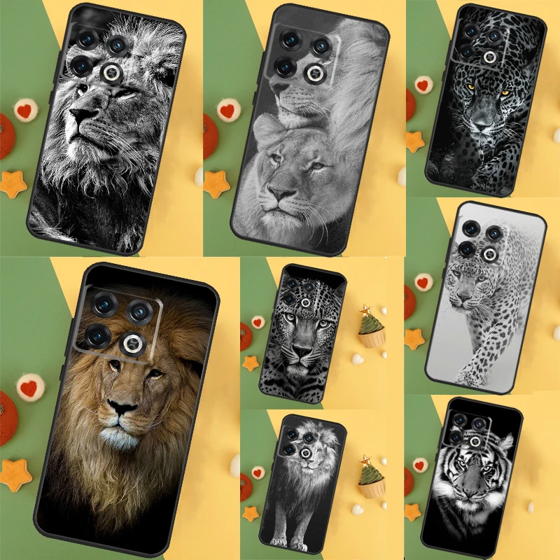 Leopard Tiger Lion … - image