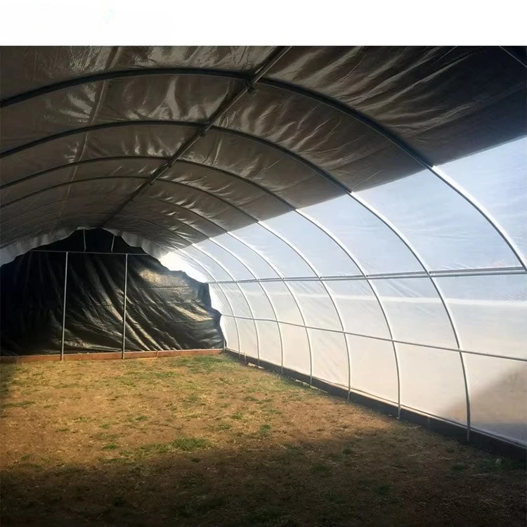 Large 30-100m Industrial Mushroom Greenhouse Poly Tunnel Single Layer Agricultural Grow Tent PE Film Galvanized Steel Frame