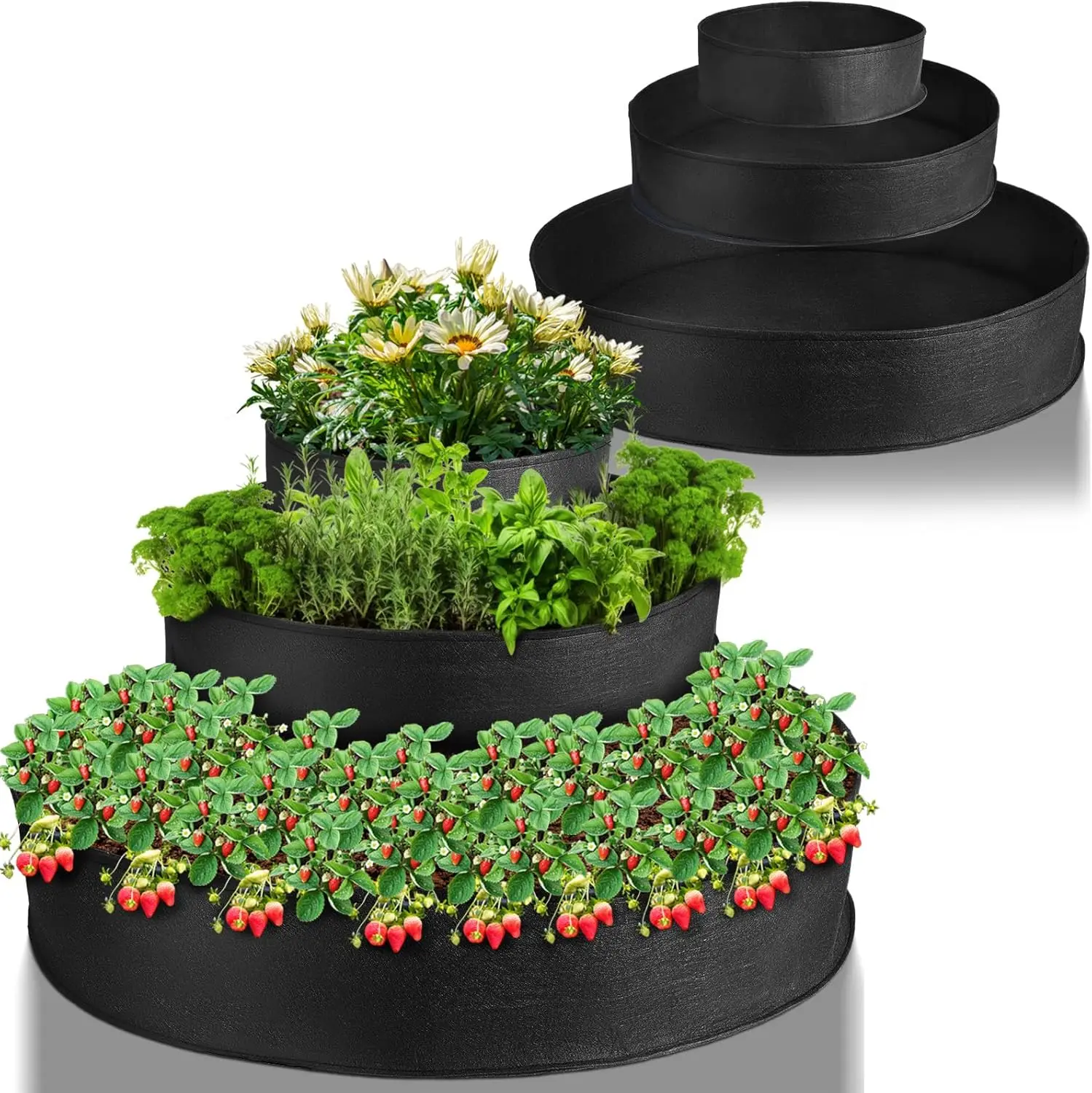 Saco De Cultivo De …