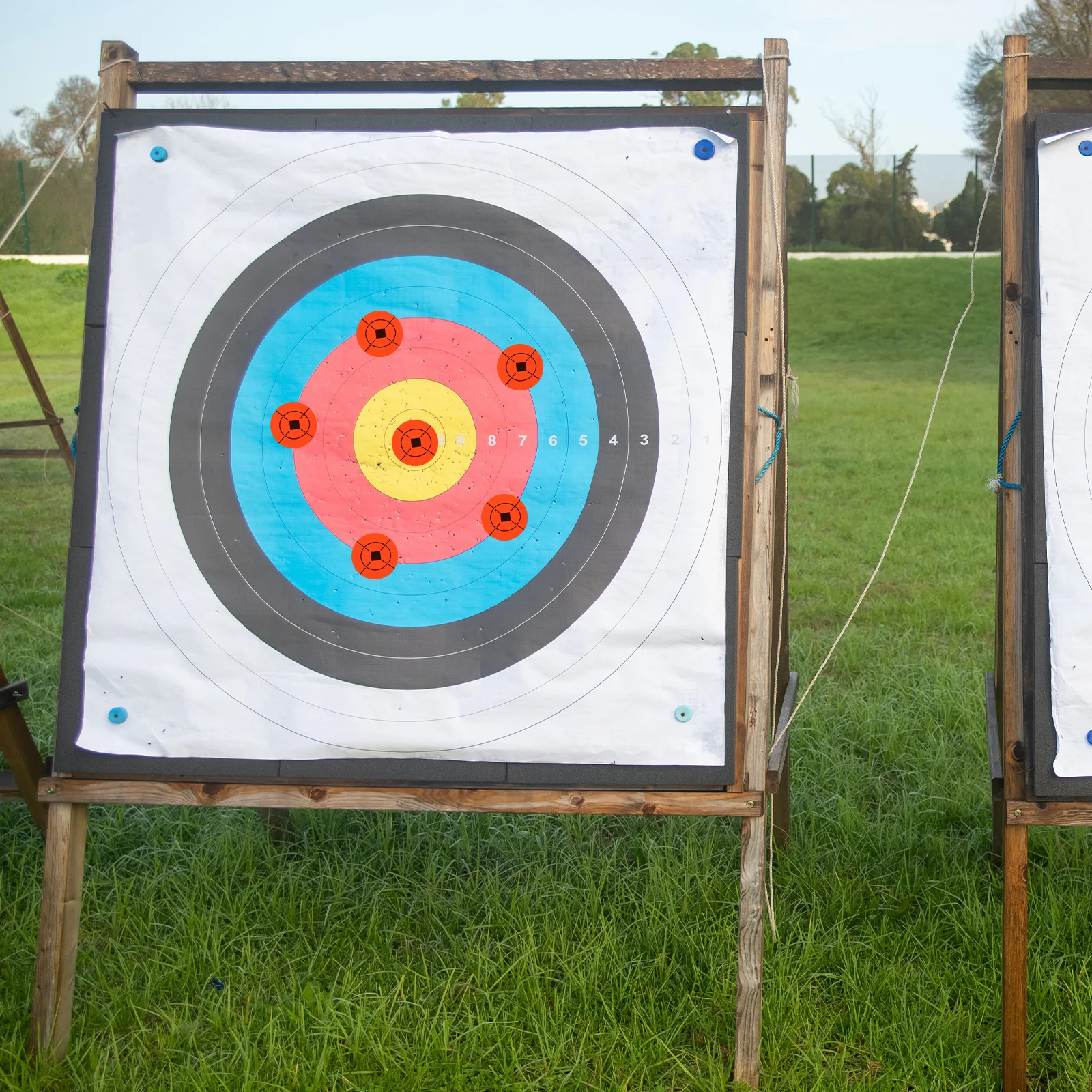 

25 Sheets Aim Paper Sticker Hd Printed Archery Practice Target Self Adhesive Waterproof for Indoor Outdoor Training Use