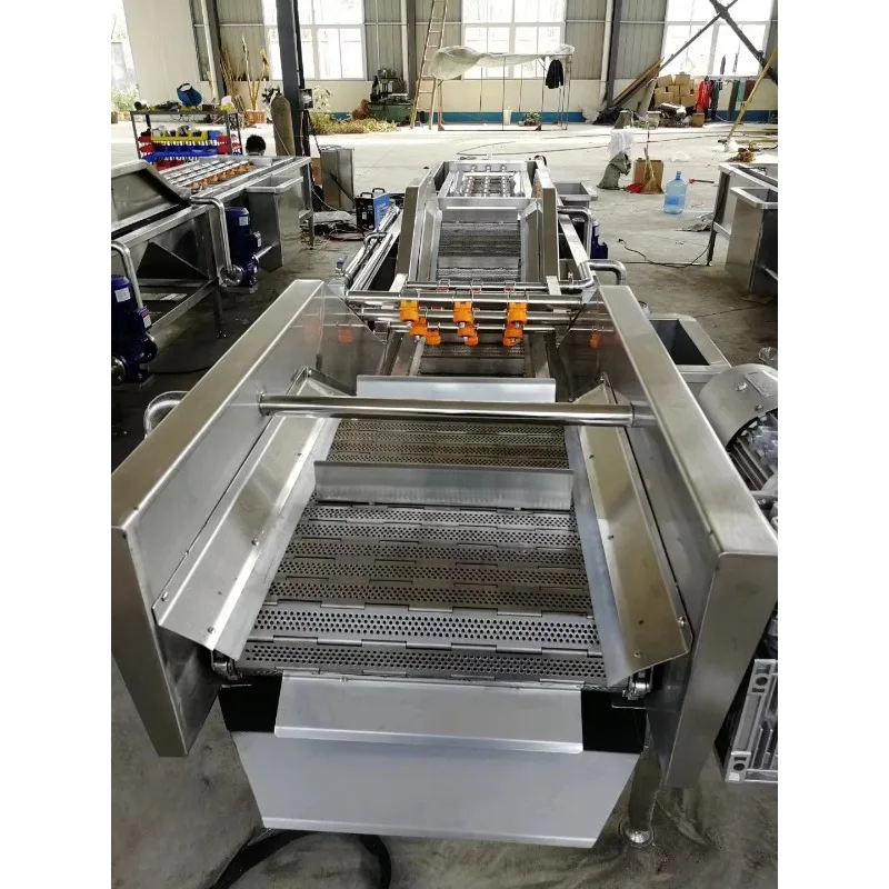 800kg/h Bubble Washing Machine for Vegetable Fruit Food Industry Equipment Easy Operate High Efficiency