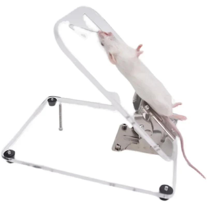 Anatomical Table Rats Frogs Unplaning Fixed Plate Rats Experimental Small Animals Operating Table Angle Adjustable