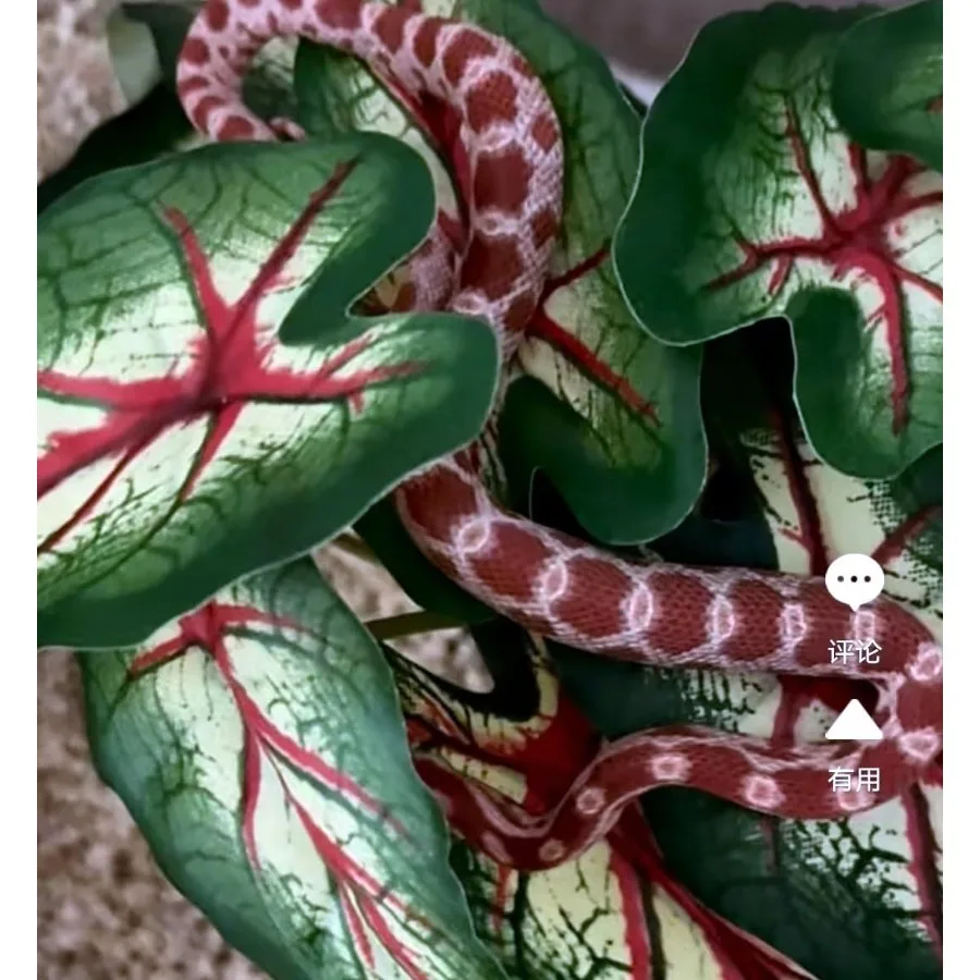 نباتات معلقة صناعية مع كوب شفط لديكور موئل برمائي تررم مثالي لخزان السلحفاة على شكل ثعبان الحرباء