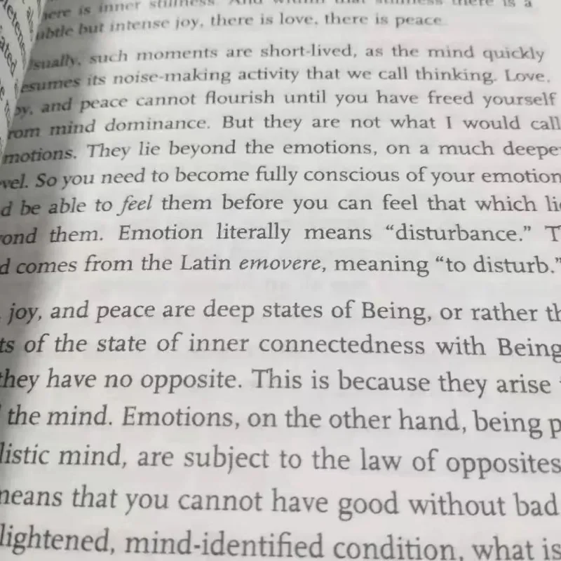 Kekuatan saat ini oleh Eckhart Tolle Panduan untuk pencerahan Spiritual buku bahasa Inggris buku motivasi menginspirasi pemuda buku sukses