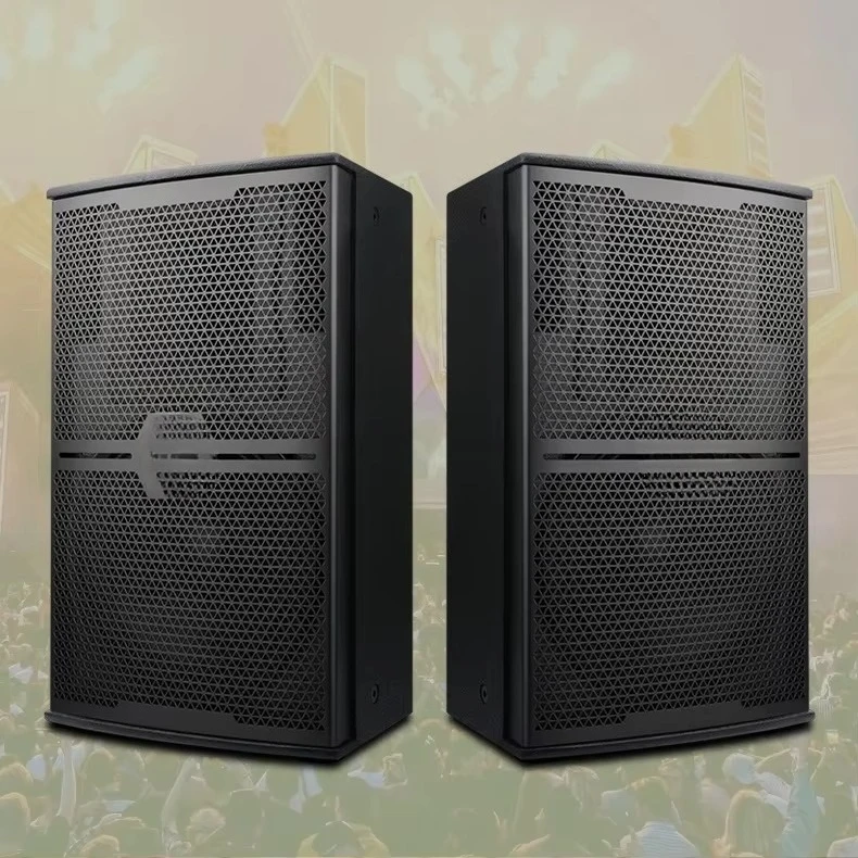 Professional black audio 700 watts output power 10-inch passive speaker for stage