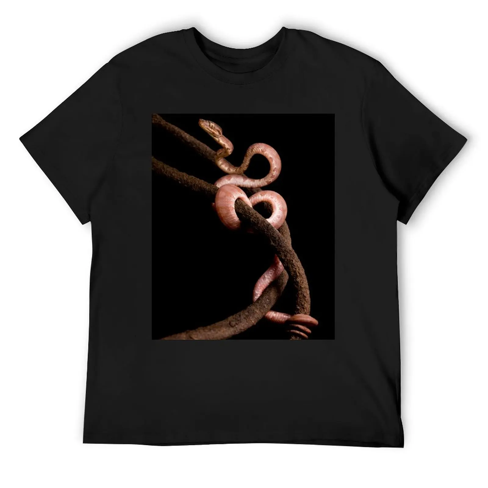 Brown Amazon Tree Boa T-Shirt aesthetic clothes new edition for a boy mens graphic t-shirts big and tall