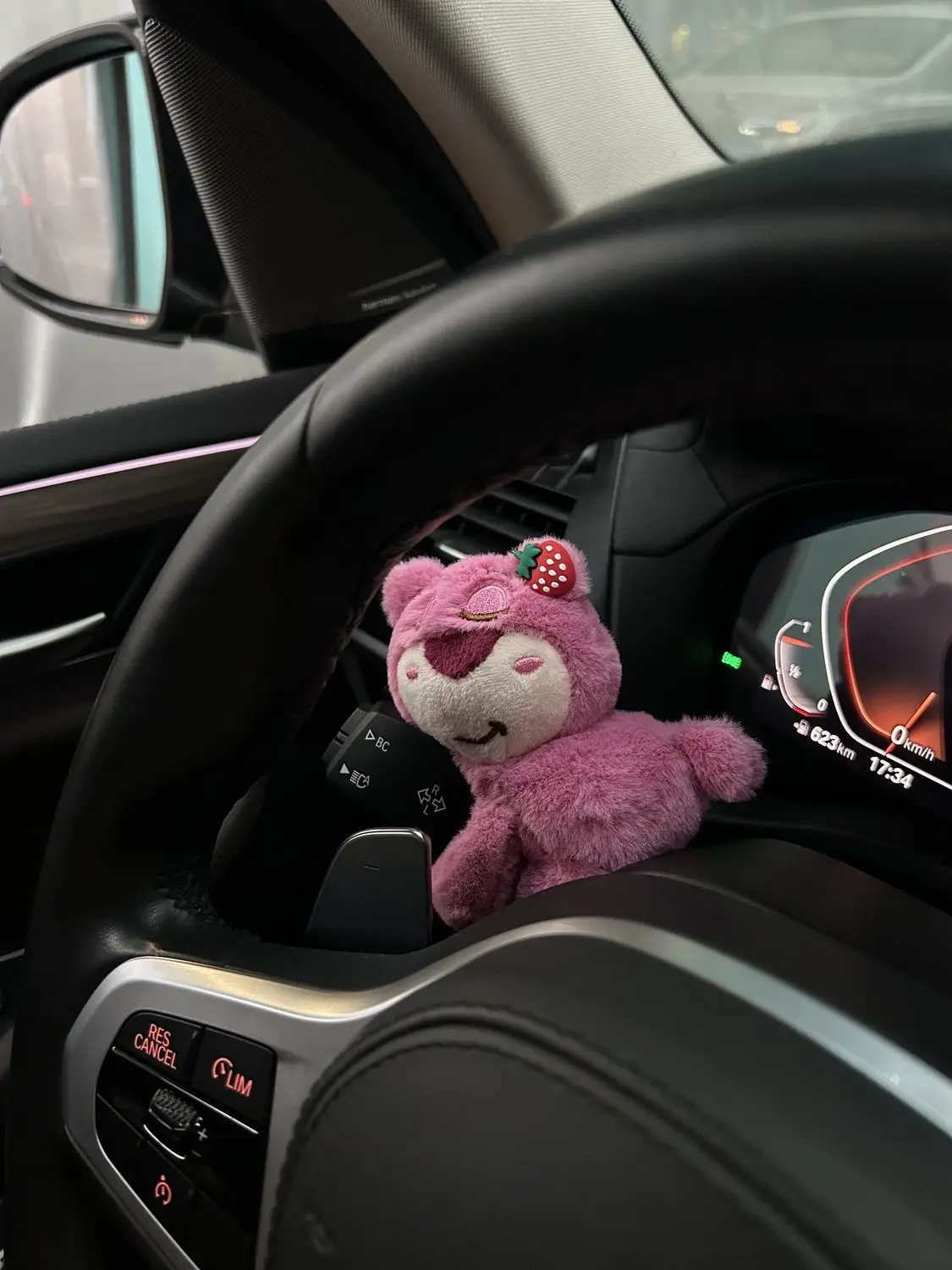 New Car Gear Decoration Car Turn Signal Cute Bear Doll Direction Light Wiper Decor Pink Car Accessories Interior Woman