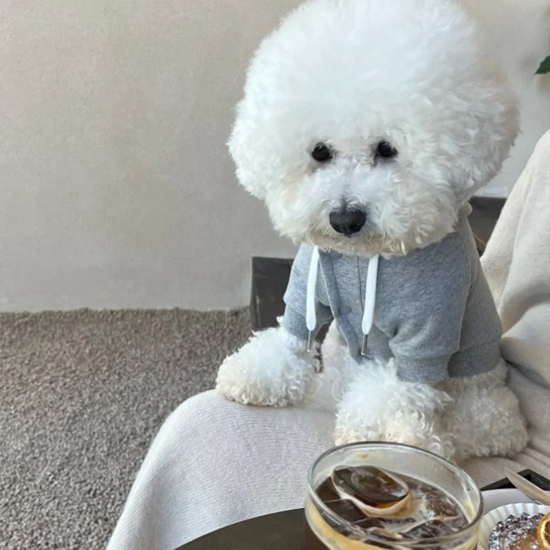 

Gray Teddy Sweatshirt Autumn and Winter Puppy Fashion Jumper Than Bear Thin Velvet Two-legged Warm Clothing