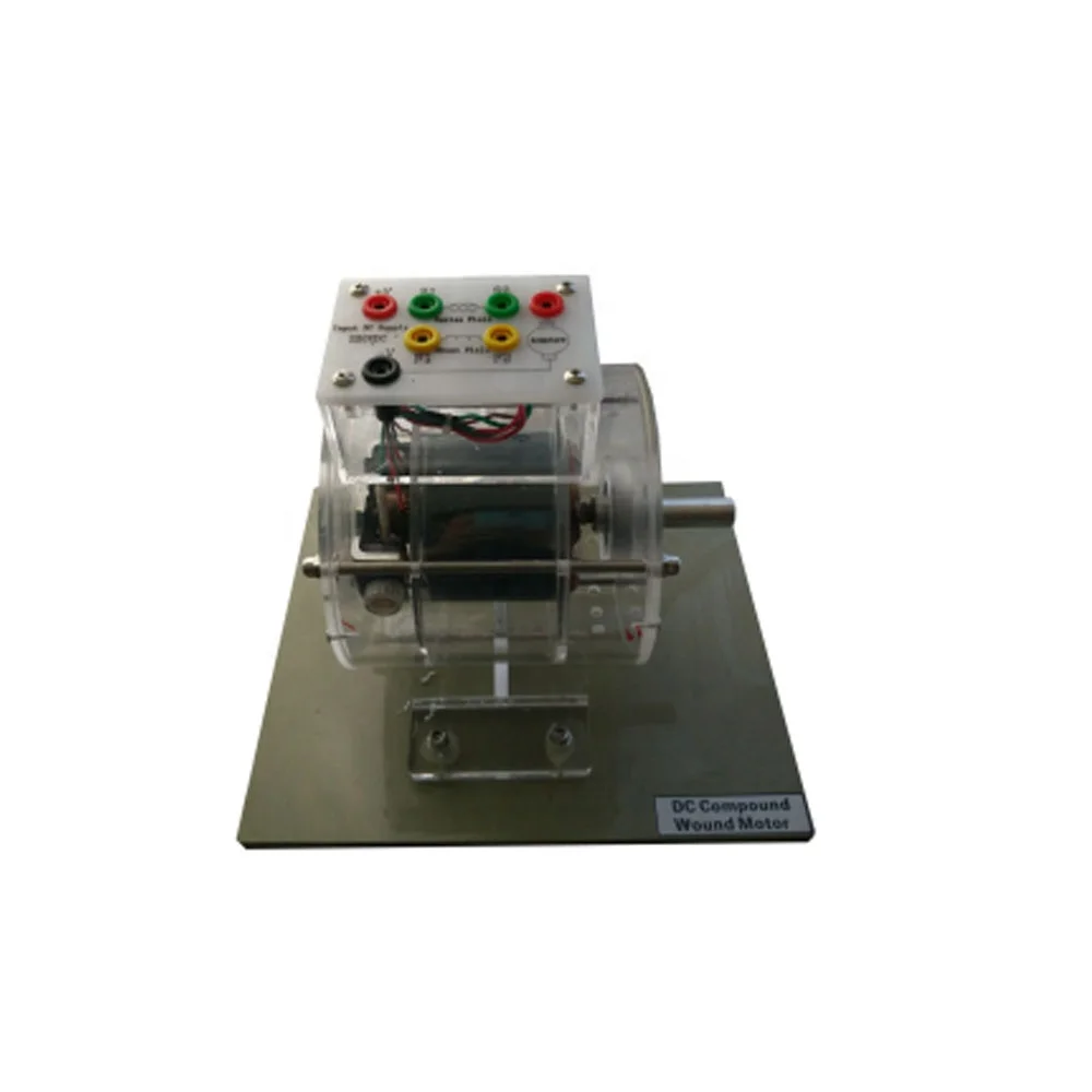 Transparent Sports Trainer Teaching Equipment School Electrical