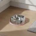 Pink Single Bowl