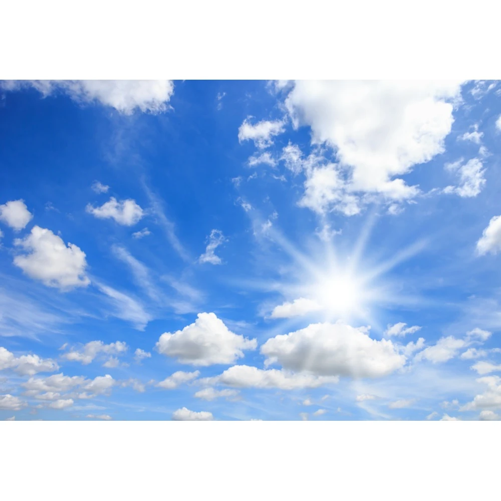Blue Sky Cloudy Backdrops For Photography White Cloud Baby Birthday Newborn Portrait Photographic Background Room Photo Studio