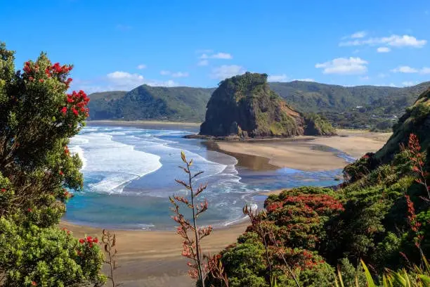 Summer Piha beach Summer Piha beach and Lion Rock with pohutukawa tree flowering, New Zealand - 8 X 12 Inch Retro Tin Sign