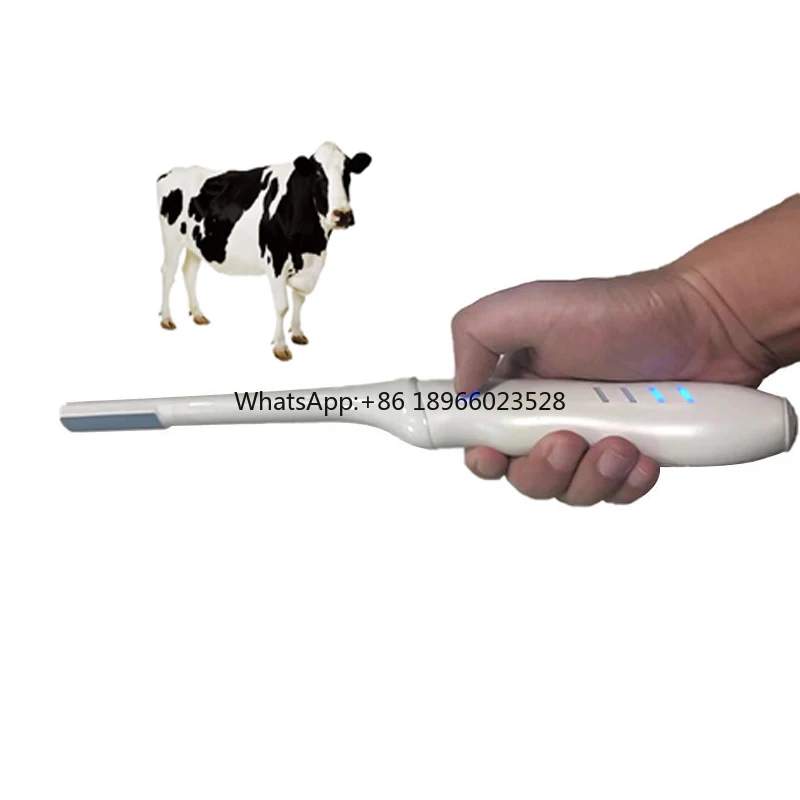 SY-AVN_vet Multi Function Hospital Clinic Use Intracavitary Transrectal Series Wireless Probe Type Veterinary Ultrasound