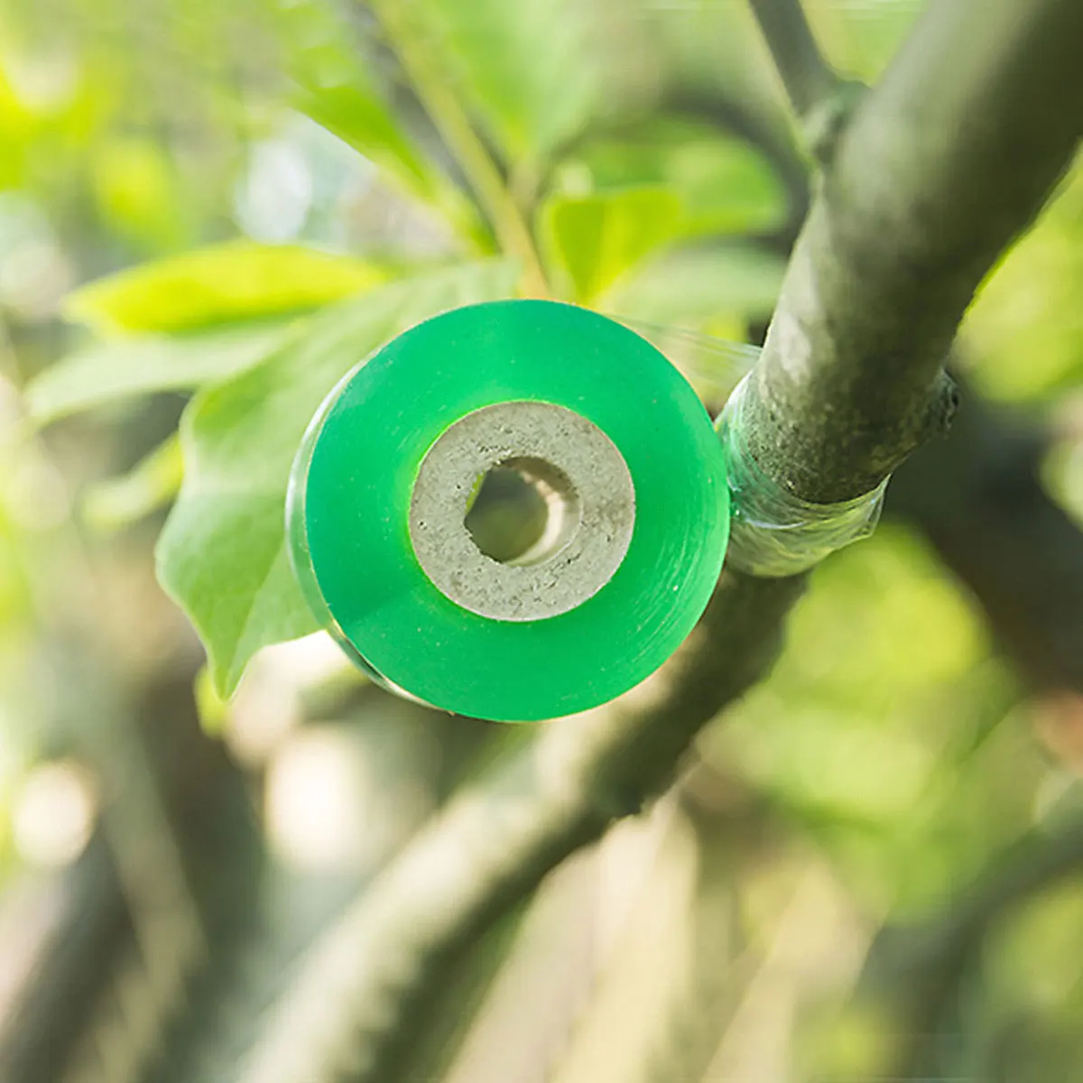 

4pcs 3Cm Self-Adhesive Grafting Film Waterproof Stretchable For Plant Budding Grafting Tape Fruit Trees Citrus Walnuts Garden