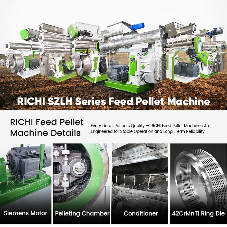 ATV&UTVRICHI Poultry Feed Pellet Machine Price - 304 Stainless Steel Animal Feed Production Machine