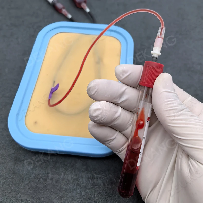 Intravenous Injection Practice Model Infusion Teaching Needle Drawing Blood Blood Practice Blood Vessel Puncture Skin Mold