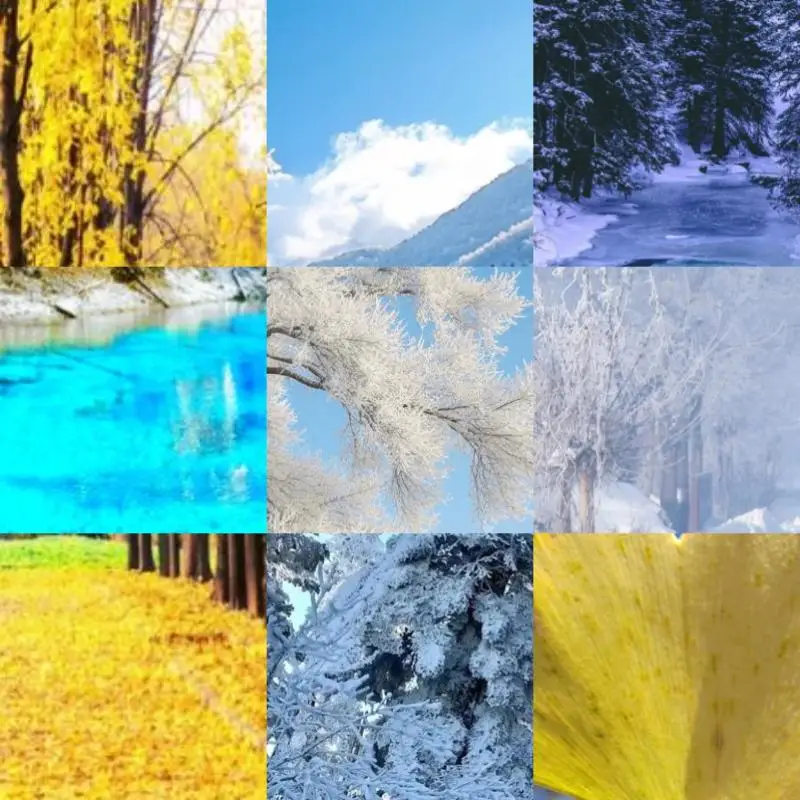 

Жесткий дорожный чехол для Canon PIXMA TR160/TR150/iP110, защитный чехол для беспроводного принтера с защитой от царапин, защитный футляр для небольшого принтера, подарок для друга