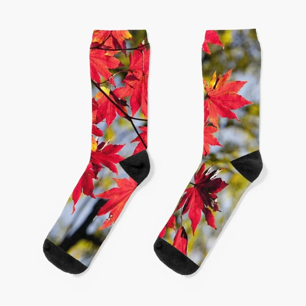 

Red Autumn Leafs In Fall Socks compression happy men cotton high quality Men Socks Women's