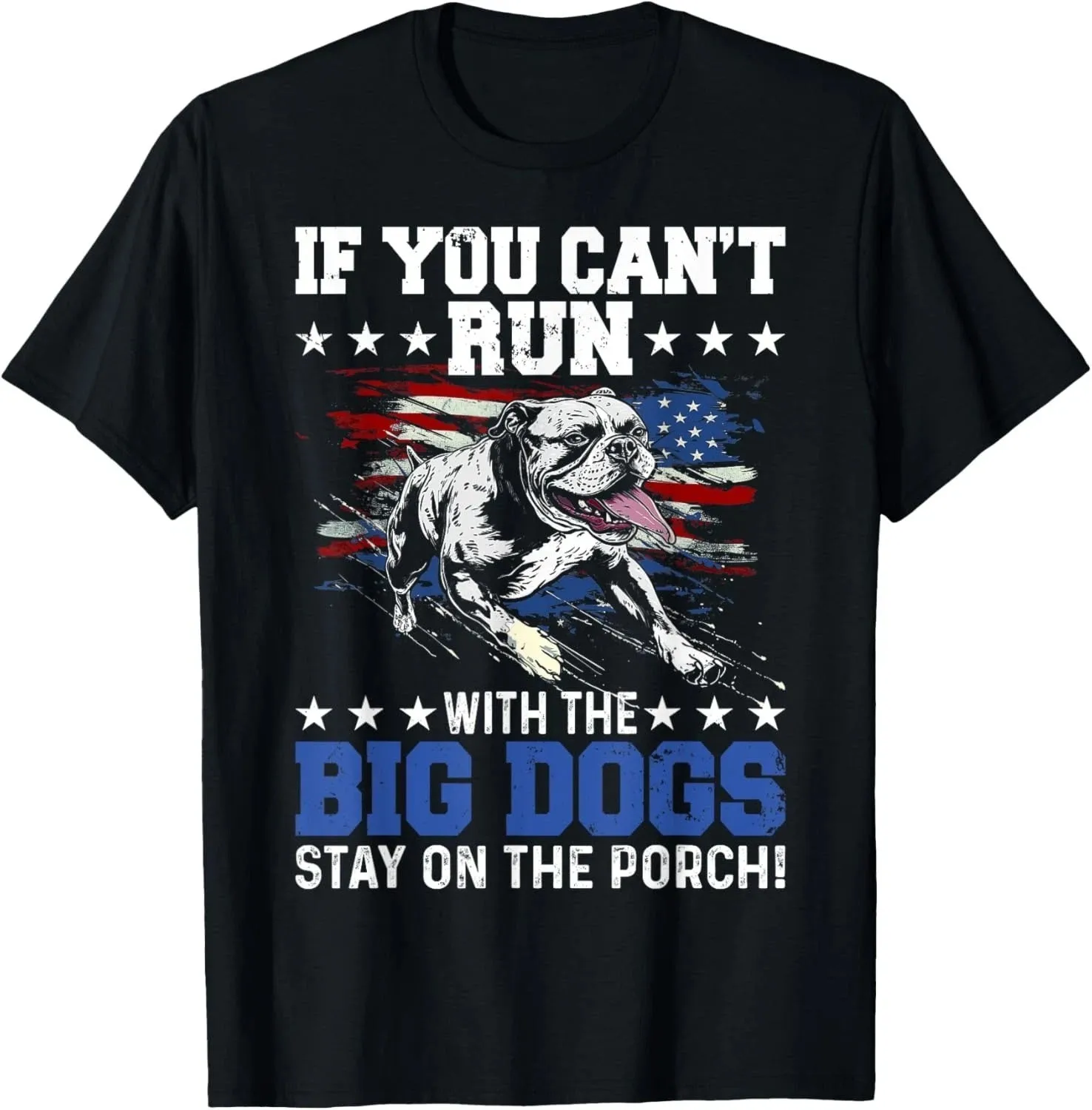 Funny If You Can't Run With The Big Dog Stay On The Porch T-Shirt