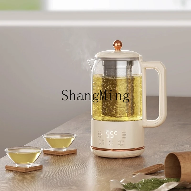 

ZYY Mini Health Pot Small Multifunctional One-Person Household Tea Brewer Kettle