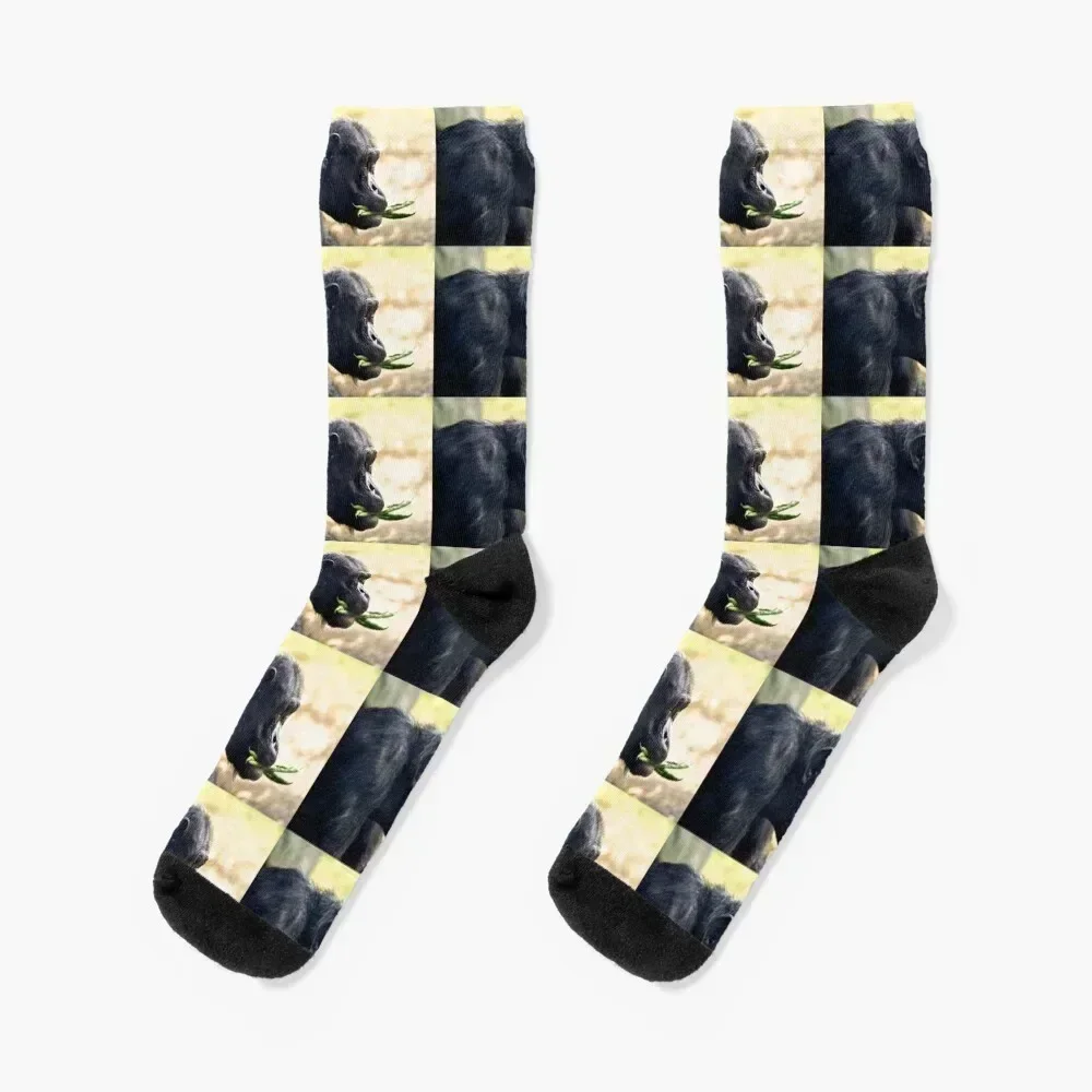 

Chimpanzee Socks ankle funny gifts colored winter thermal Socks Girl Men's