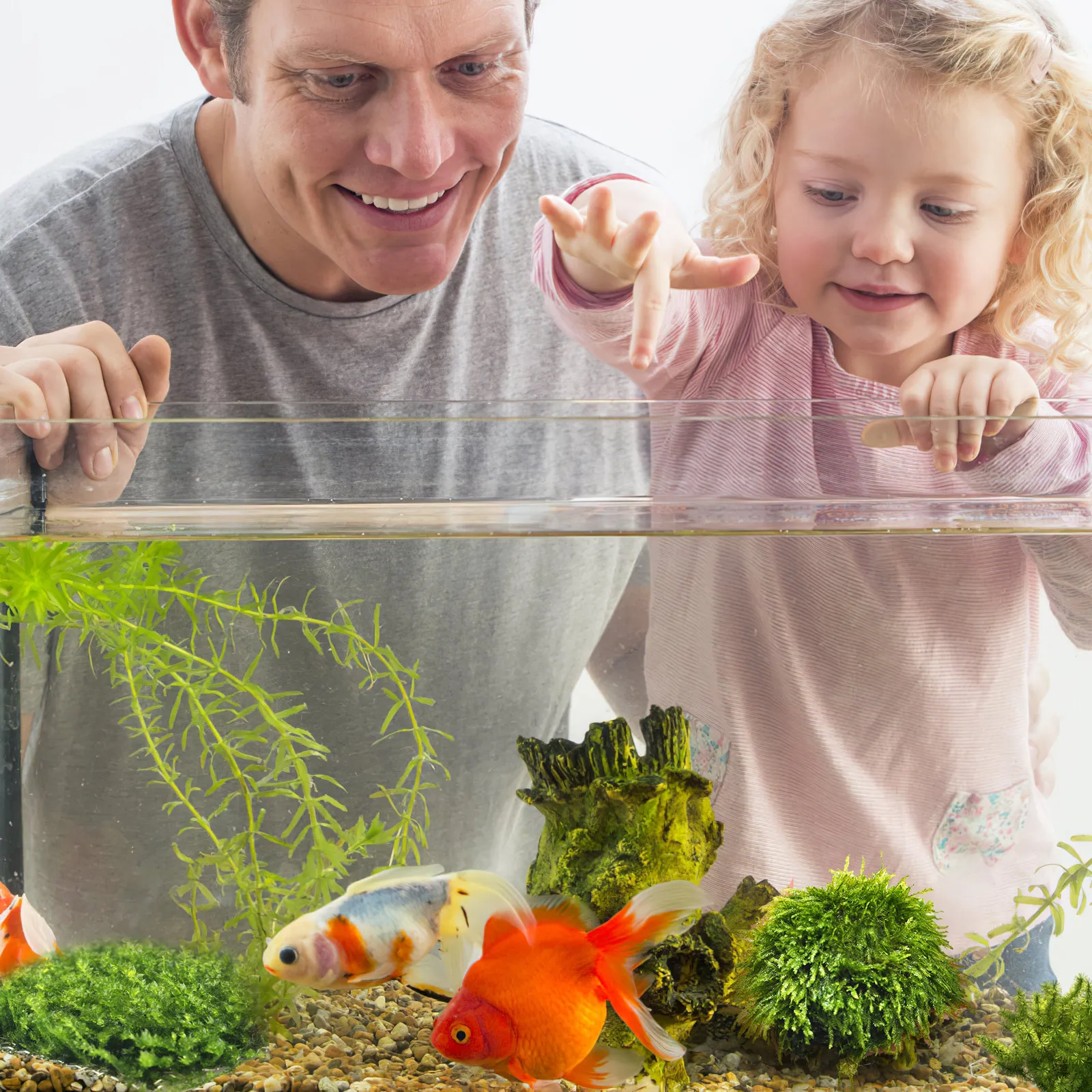 

2pcs 8Cm 304 Stainless Steel Aquarium Moss Mesh Wall Floor Net Rustproof Durable Plant Grid Water Tank Decorative Accessories