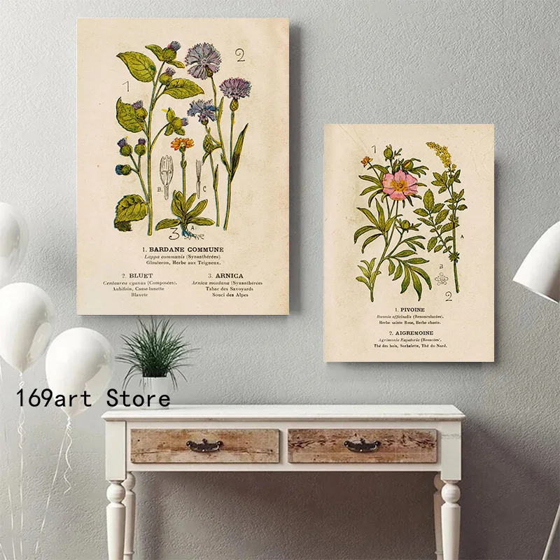 Vintage French Language Botanical Plant Species Peony Agrimony Mustard Art Poster Canvas Painting Wall Prints Picture Home Decor