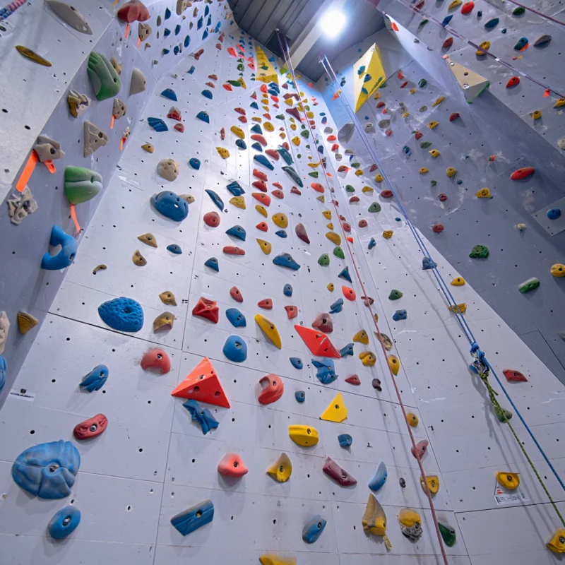 Wielofunkcyjna ściana wspinacz – Kids Outdoor Climbing Wall recenzja i cena