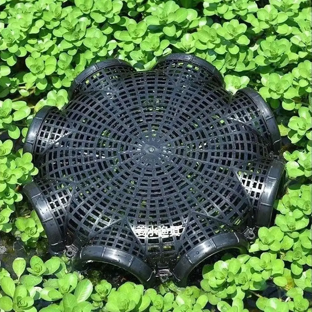 وعاء الصيد 3/6/8 ثقوب شبكة السمك السوداء قفص البلاستيك دائم لوتش فخ سهلة التركيب متعددة الوظائف الصيد الفخاخ الروبيان الثعابين