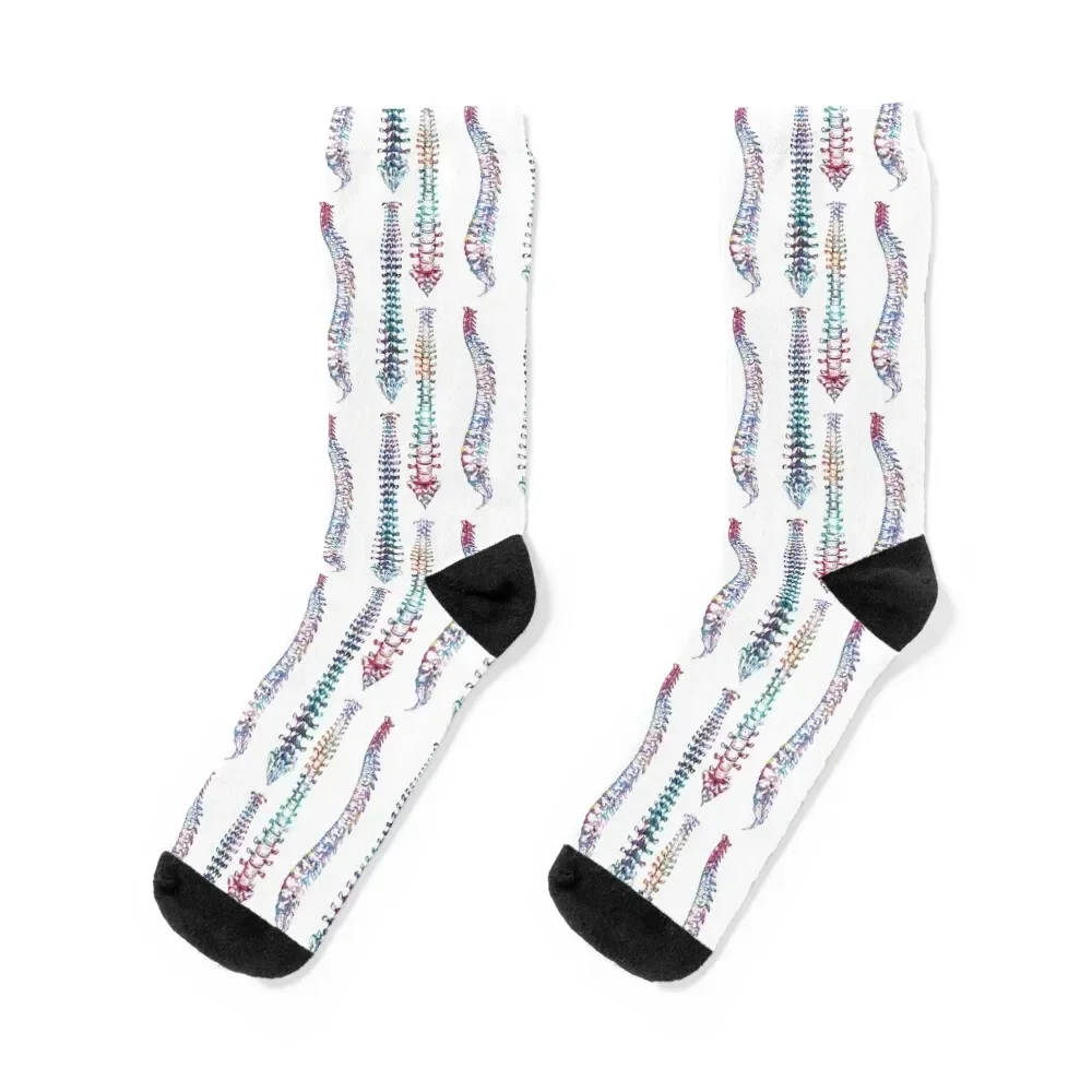 

Spine Front, Back, and Sideview Anatomy Socks compression luxury snow set Male Socks Women's