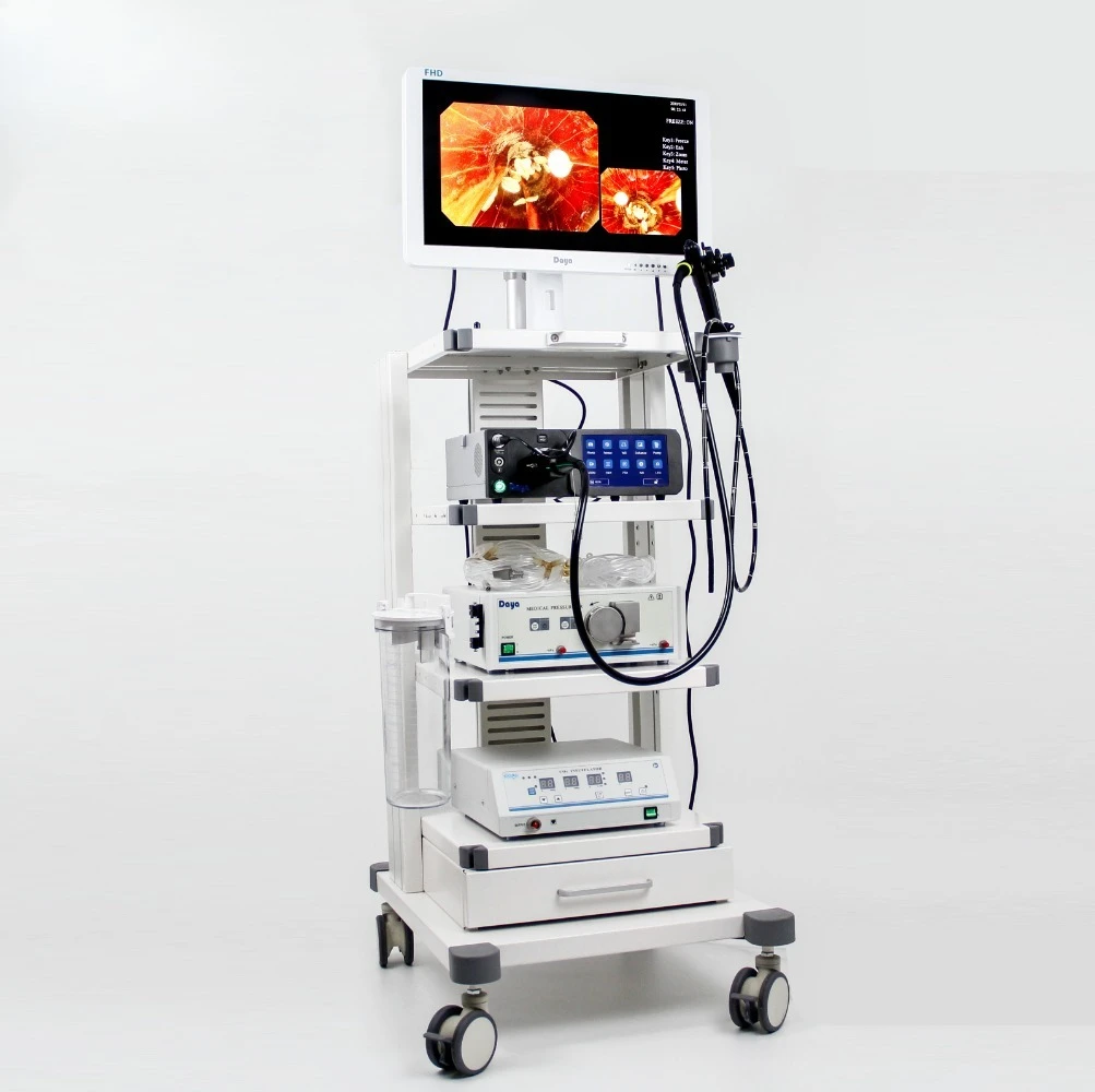 Veterinary endoscope, flexible gastroscope, portable endoscope