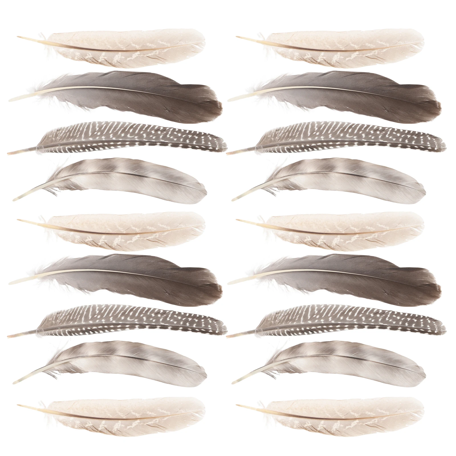 

4 set Pheasant Accessories Craft Art Plume Materials Natural Decoration Crafting Supplies Diy Wall Home Decor Wedding