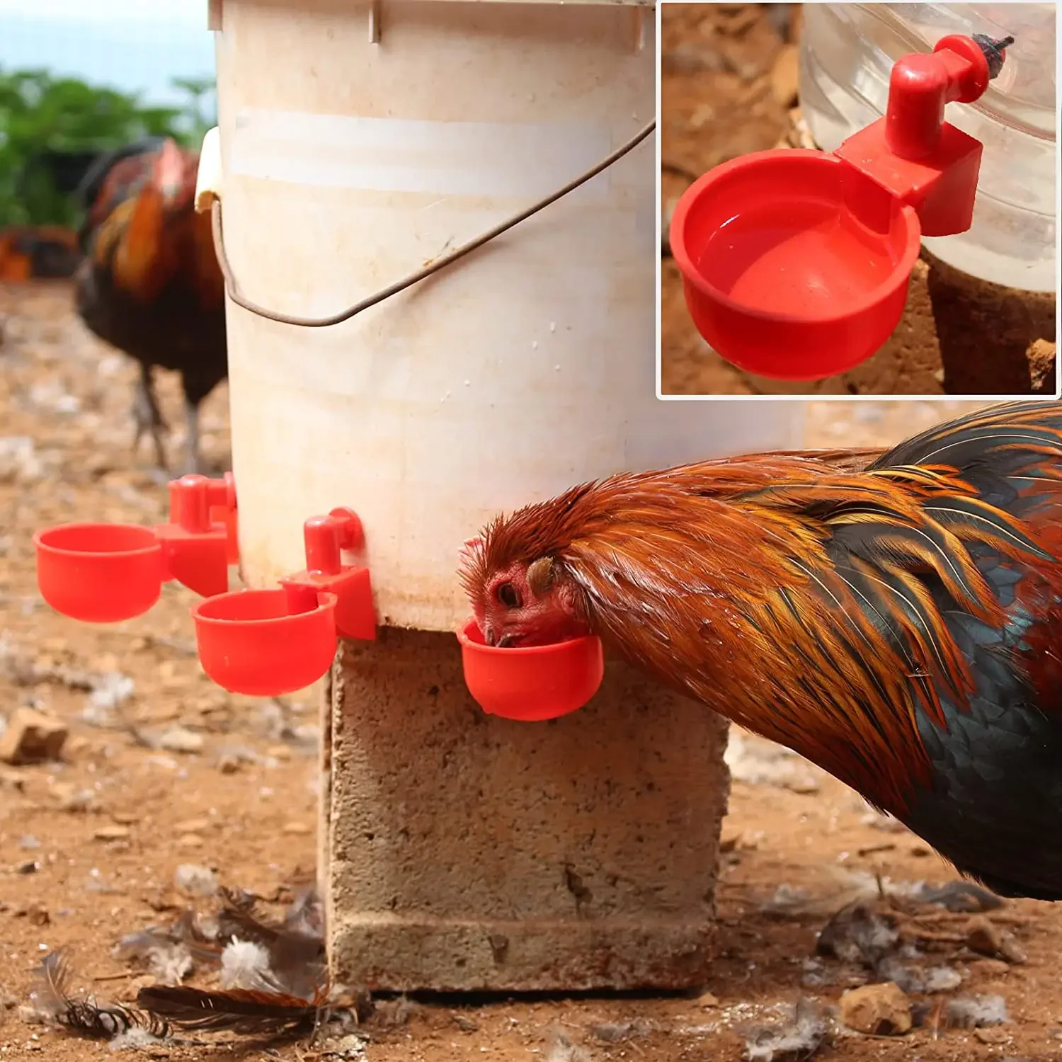 6-36 pezzi pollo anatra bere tazza abbeveratoio automatico mangiatoia per polli plastica pollame fattoria acqua potabile tazze facile installazione