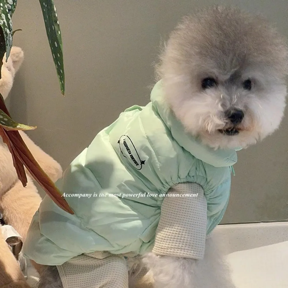 

Mint Green High-Quality Winter Pet Coat For Thick And Warm Protection For Small Dogs Down Jacket For Puppies