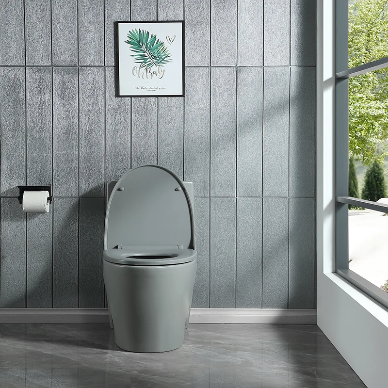 

1.1/1.60 GPF Dual-Flush One Piece Toilet, Water-Saving Elongated Comfort Height Floor Mounted, Soft Close 1000 Gram Map Flushing