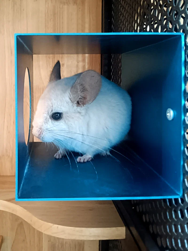 Chinchilla Cooling Ice Nest/rabbit Hamster Cooling Aluminum Alloy Nest/guinea Pig And Hedgehog Summer Cooling Ice Nest.