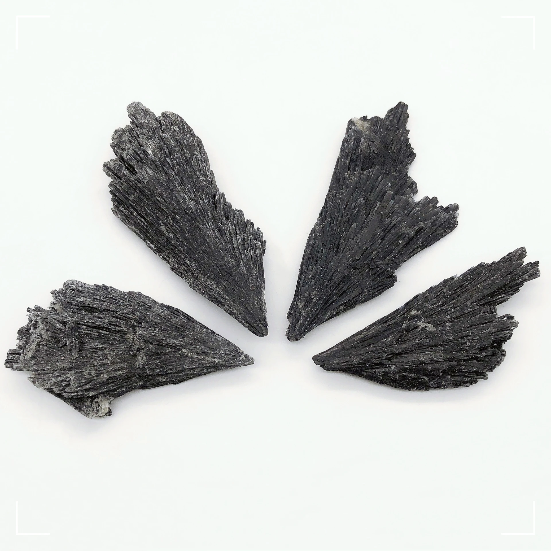 Natural Black Tourmaline Angel Feather Fan Rough Raw Stone Specimen Witches Broom Crystal Quartz Reiki Healing Home Decor Gift