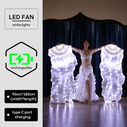 Rechargeable LED Fans Real Silk Veil One Piece One Pair Right Hand Left Hand 180cm Stage Performance Belly Dance Accessories