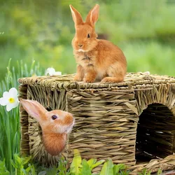 Rabbit Foldable Weaving Water Grass Nest Chinchilla Guinea Pig Large Size Grass Mat Grass Nest Pet House