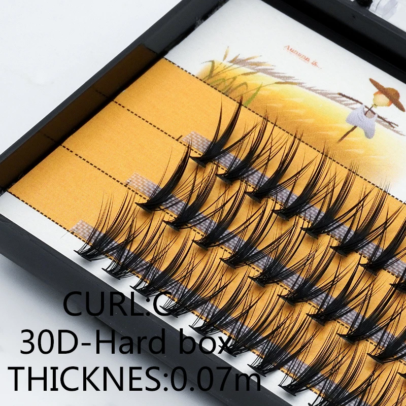 1 Box/60 Bündel/20D/30D gefälschte Wimpern, handgemachte Seide, einzelne Wimpern, natürliche dicke gefälschte Wimpern, Wimpernverlängerungen für Make-up – Detail 1
