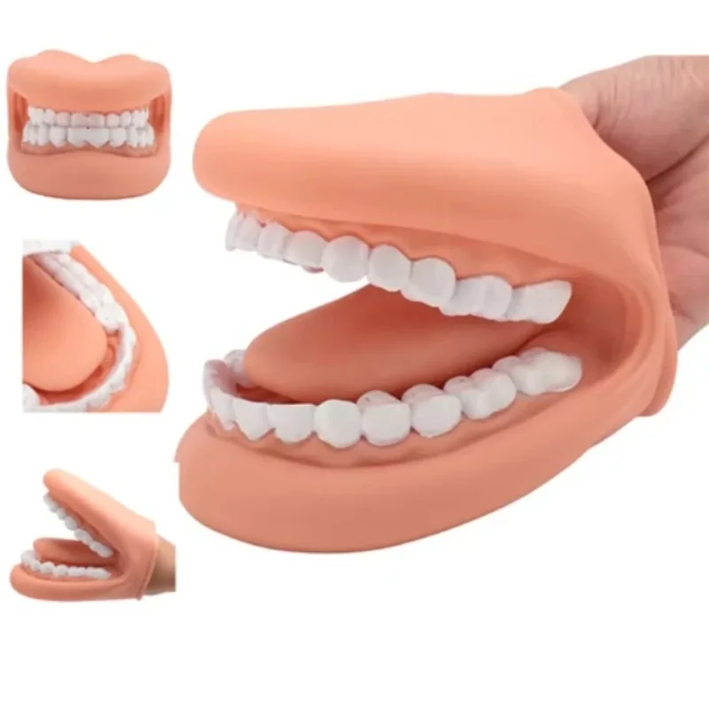 

Teeth Care Model Mouth Puppet with Tongue 28 Teeth Silicone Speech Therapy Demonstration Teeth Model for Kids Teaching