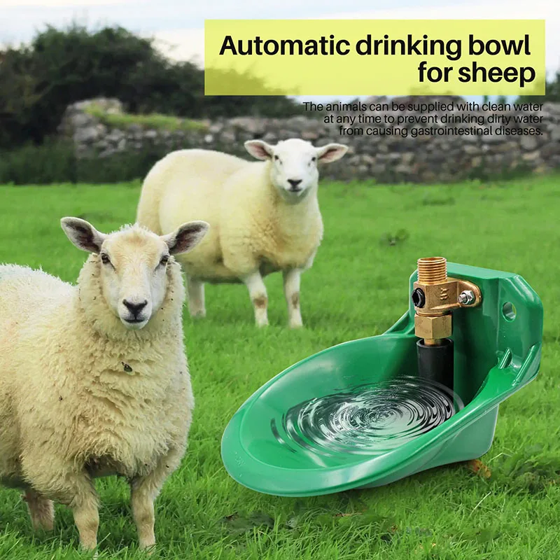 Sheep drinking bowl copper valve head plastic drinker sheep automatic drinking bowl anti-fall touch breeding amniotic water