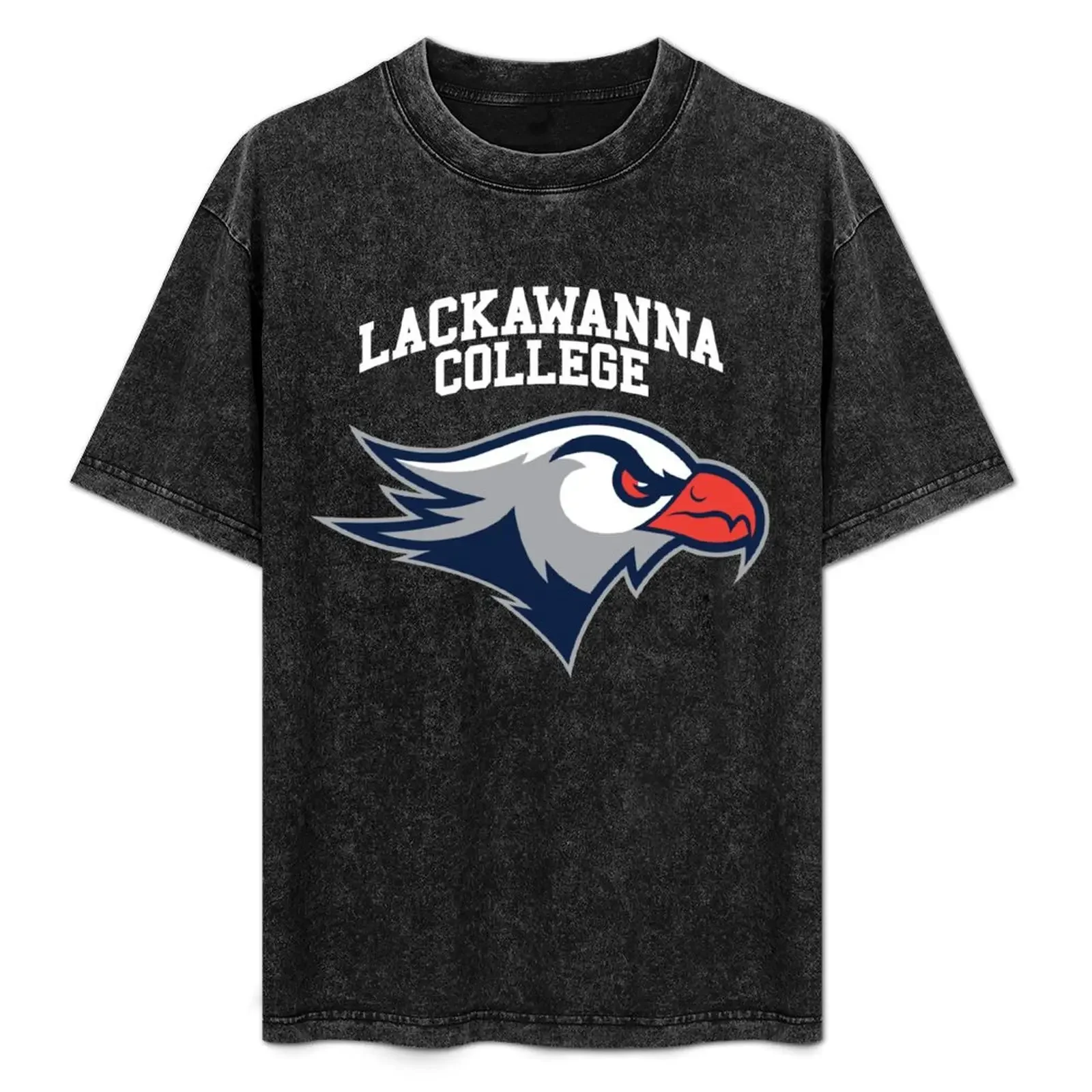 

Lackawanna College Falcons T-Shirt custom t-shirts luxury t-shirt graphic t shirts t shirts for men pack
