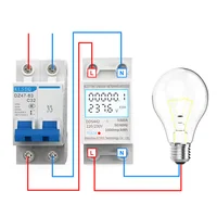 Compteur d'énergie électrique GTRIC 2P monophasé LCD affichage numérique montage sur Rail DIN compteur électrique à 2 fils wattmètre AC 230V 50Hz 5